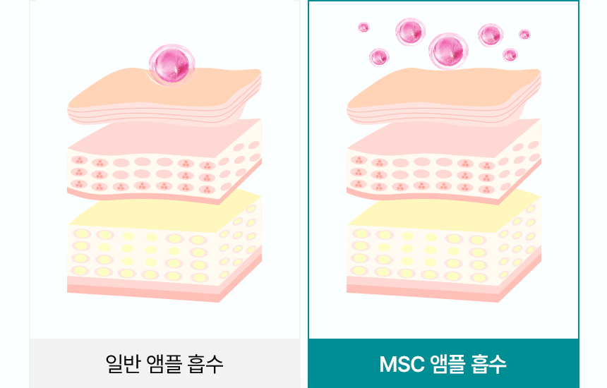 MscAmpoule_26